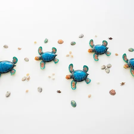 아파트 La Tortuga Azul B 푸에르토 드 라 크루즈