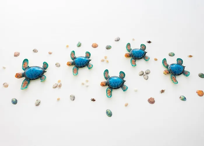 公寓 La Tortuga Azul B 拉克鲁斯